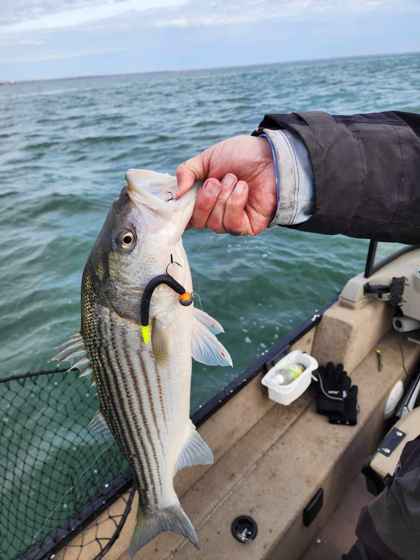 Trailer Hook